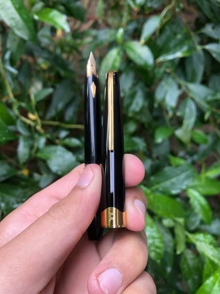 Platinum Pocket Fountain Pen 2