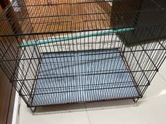 Green Parrot Cage