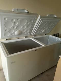 Haier D freezers