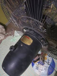 Royal Fan in Good Condition 0