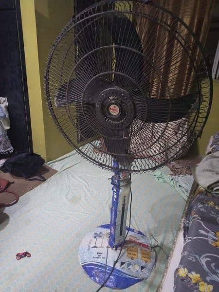 Royal Fan in Good Condition 1