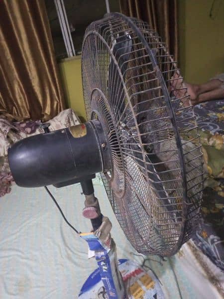 Royal Fan in Good Condition 2