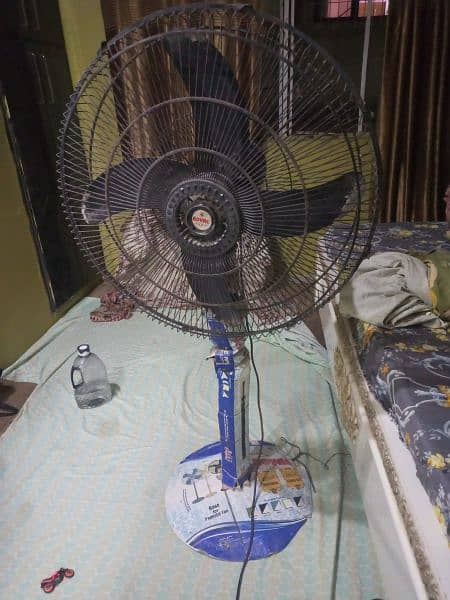 Royal Fan in Good Condition 3
