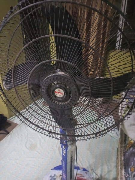 Royal Fan in Good Condition 4