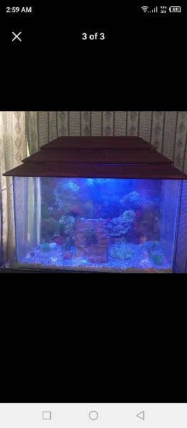 aquarium for sale 0