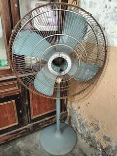Padistal  Fan for Sale