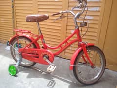 japni kids cycles.