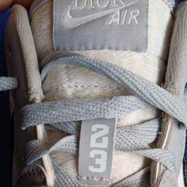 Nike dior Air jordan 1