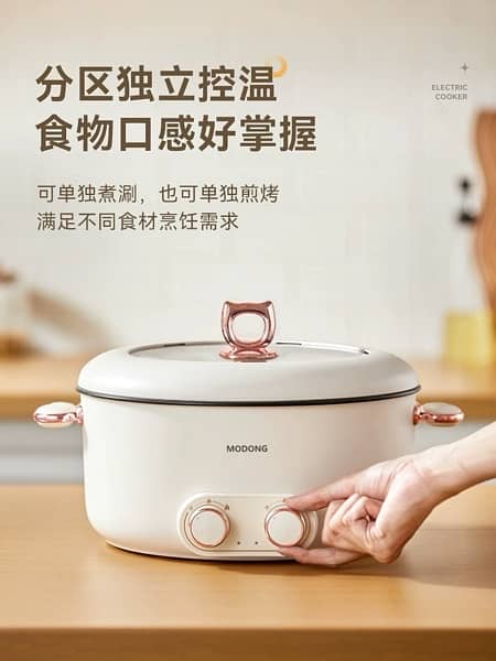 New style rice and meat cooker. 1