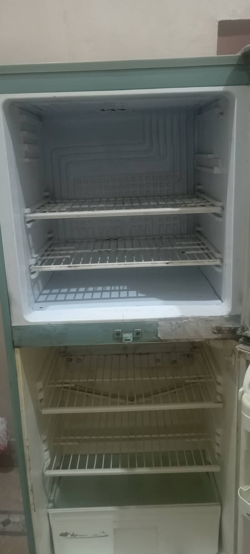 Pel refrigerator 2