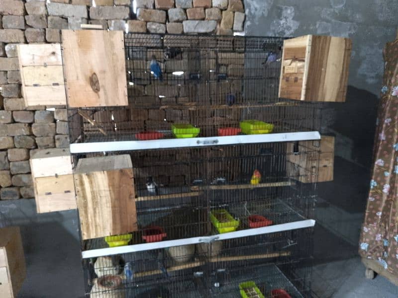 All Set-up (Include Cage/Breading Box & Feed/Drink Pots) 0