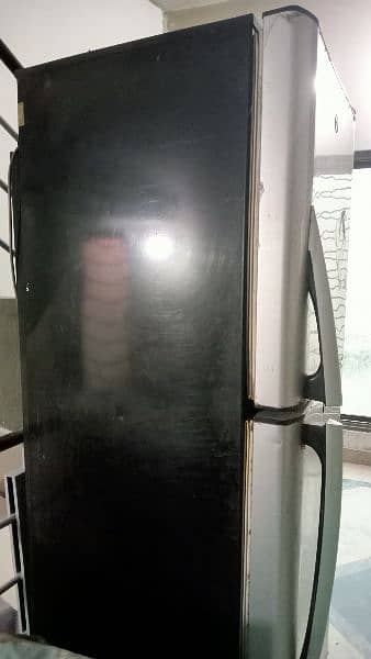 PEL JUMBO Refrigerator large size 5