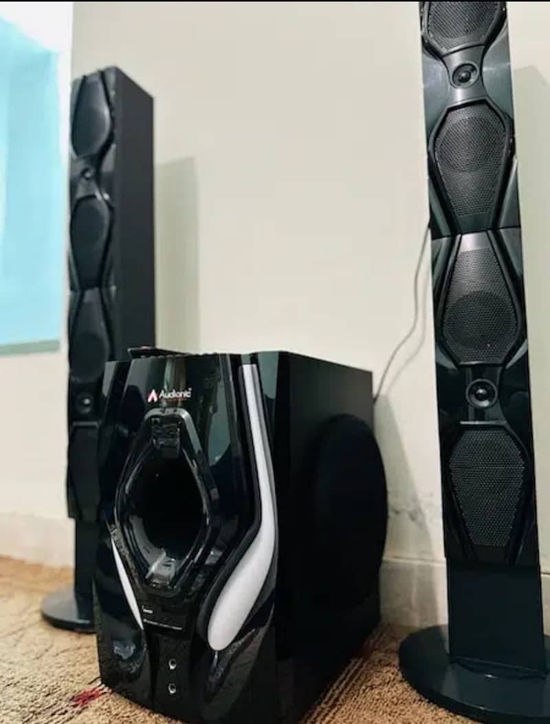 Audionic RB 105 woofer system 3
