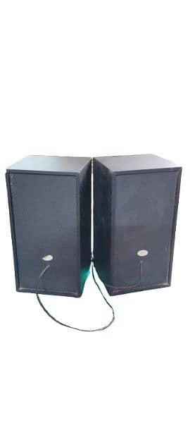 Pasaris Speaker 2