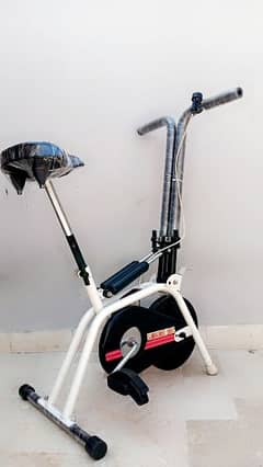Exercise Cycle 2 in 1