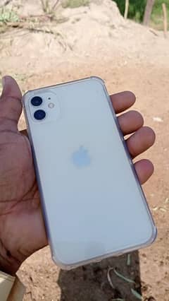 iPhone 11 white colour
