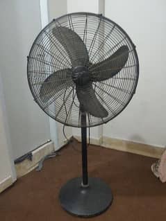 24 inch Rado Pedestal Fan