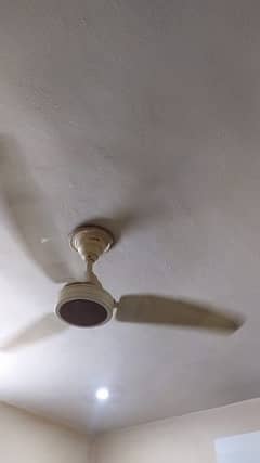 Just like brand new ceiling fan