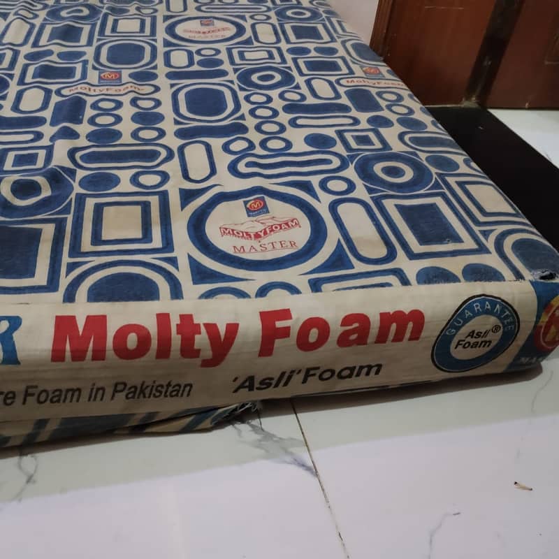 Master Molty Foam Mattress 0