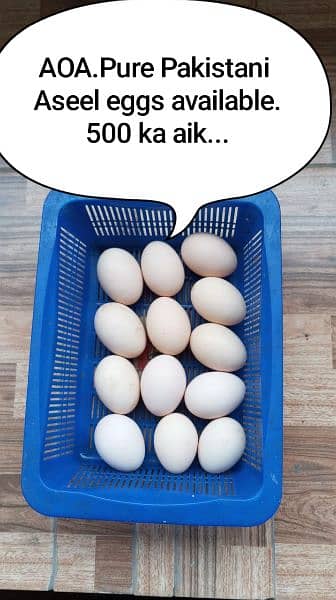 Pure Pakistani Aseel eggs. 2
