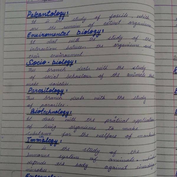 handwriting assignment work 3