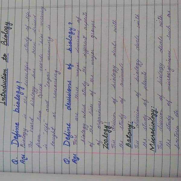 handwriting assignment work 5