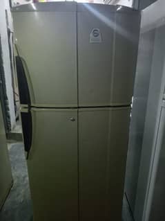 Pel fridge for urgent sale
