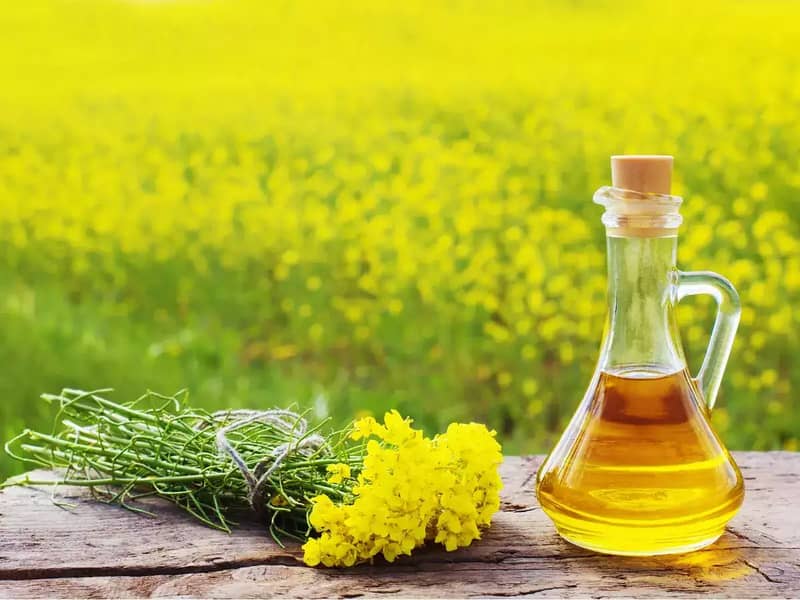 Mustard Oil (سرسوں کاتیل) for Cooking, Hair Care and other use 0