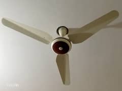 Ceilling Fan For Sale in Good condition