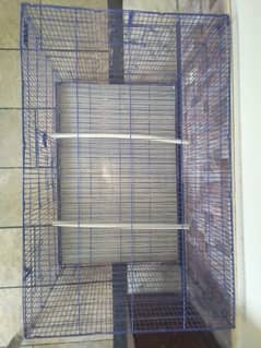 birds Cage