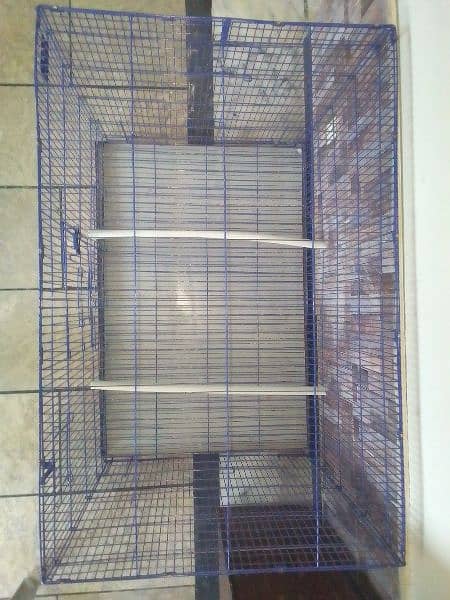 birds Cage 0