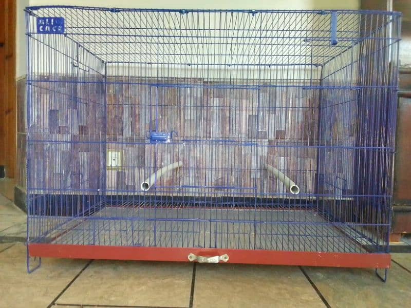 birds Cage 1