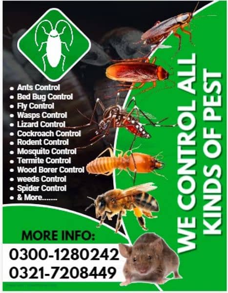 Pest Control/ Dengue Spray/ Cockroaches Control/ bed bugs 1