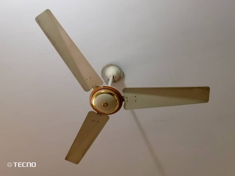 *Ceiling Fan in very good shape, color and condition* 0