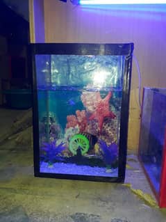 fish Aquarium with dacration