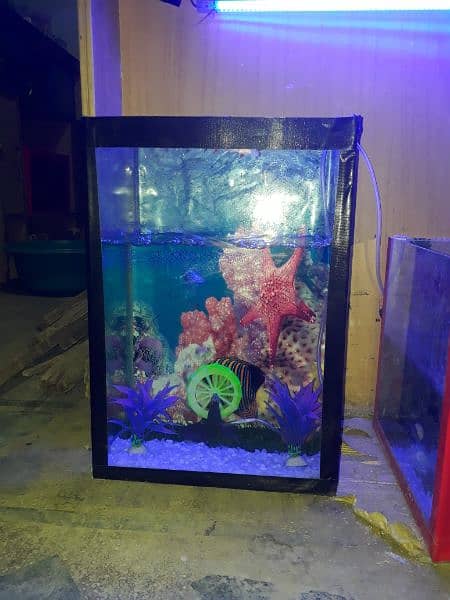 fish Aquarium with dacration 0