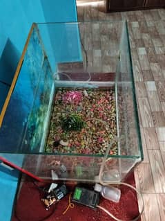 aquarium for sell motor pathar fishess sara setup