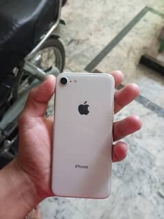apple IPhone 8 white colour