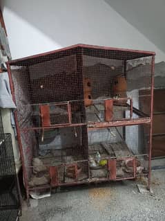 Cage And Birds For Sale 0