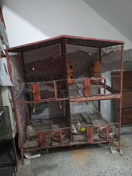 Cage And Birds For Sale 0