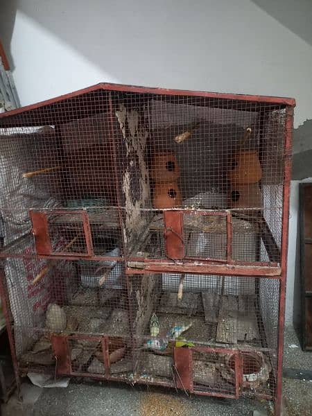 Cage And Birds For Sale 1