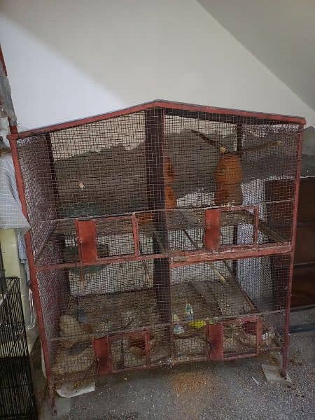 Cage And Birds For Sale 4