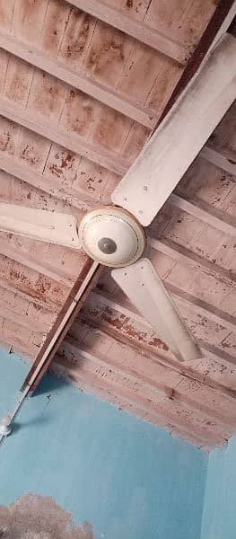 TAMOOR CEILING FAN 6