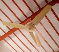 ceiling fan 3000/-
