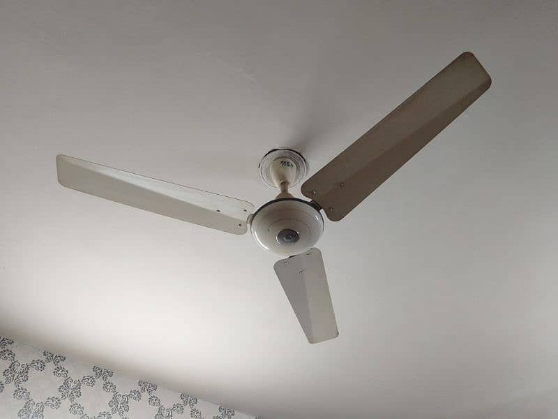 Pak Fan 56"(ceiling fan) 0