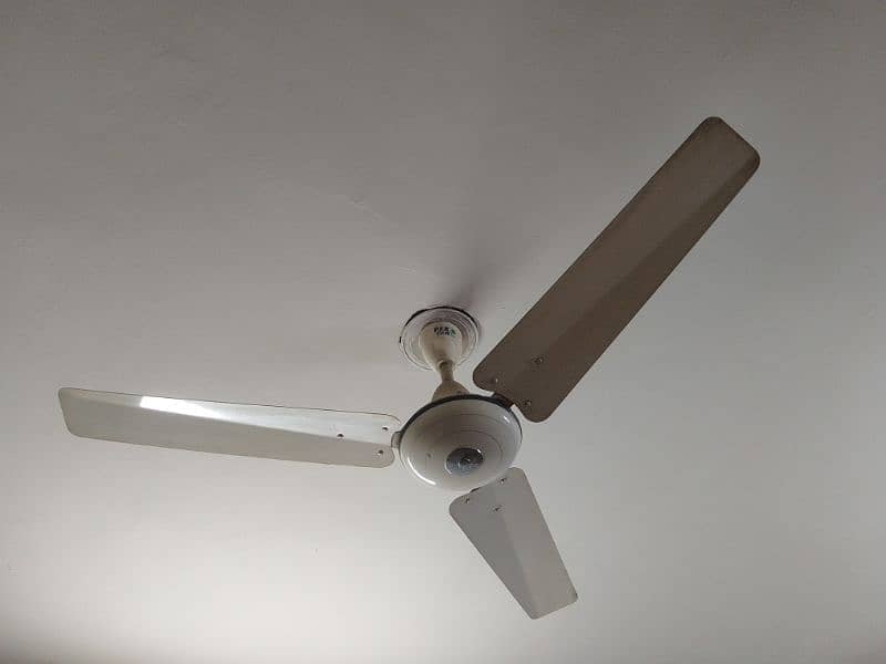 Pak Fan 56"(ceiling fan) 1