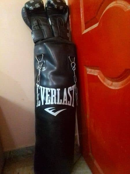 punching Bag with gloves 0