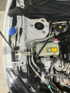 Honda Civic Turbo 1.5 2019