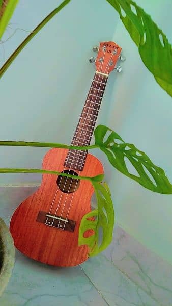 Ukelele For Sale 0