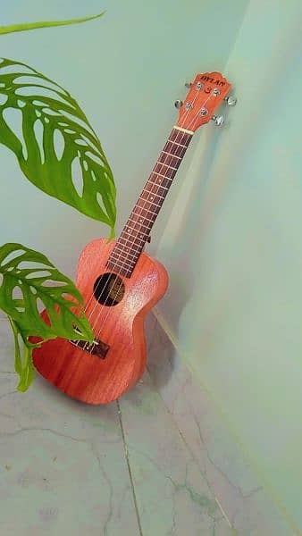 Ukelele 1